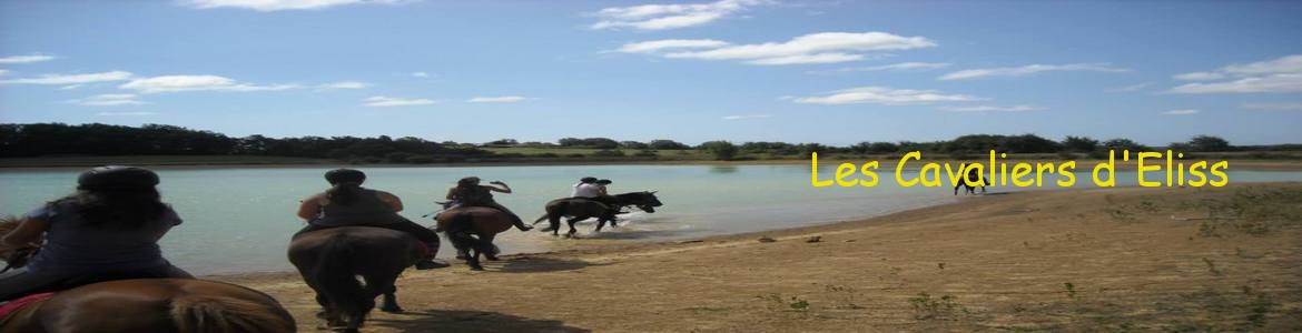 Les Cavaliers d'Eliss
